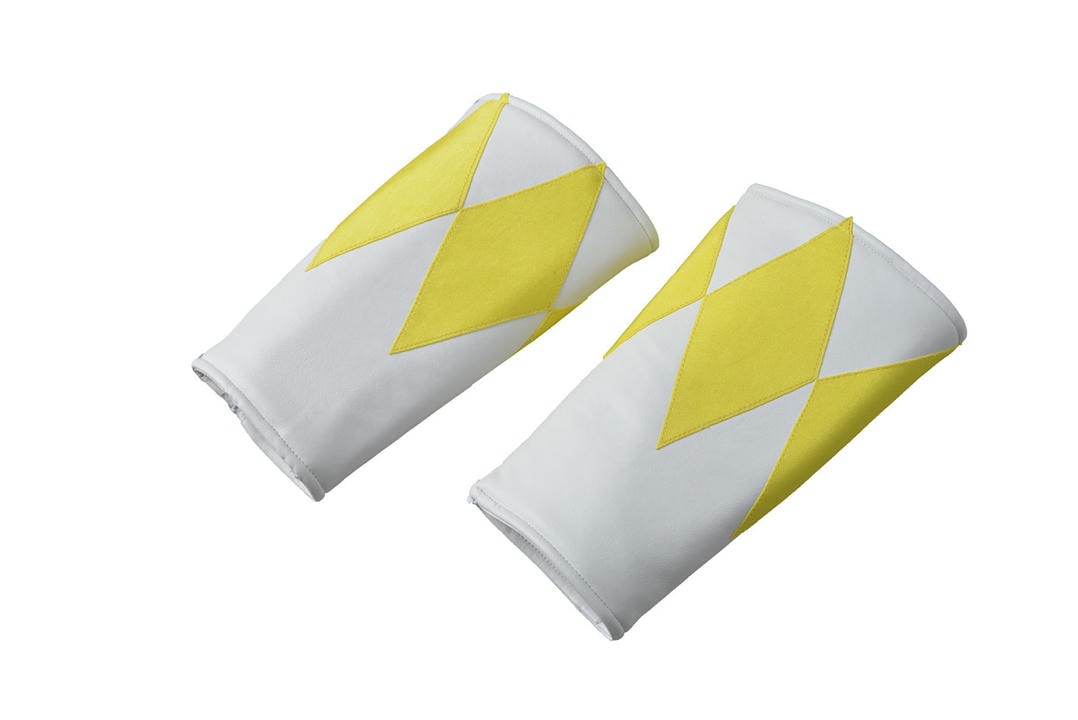 Zyuranger Yellow Female Ranger Cosplay Costume – Superhero Outfit – photo 14 of 16